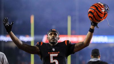 Amon-Ra St. Brown Says Bengals Franchise Tagging Tee Higgins Again 'Should Be Illegal'