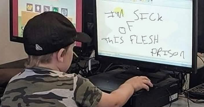 29 Random Funny Memes For Anyone Needing A Chuckle