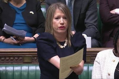 MP calls for inclusive maternity care as NHS was ‘unprepared for body like mine’