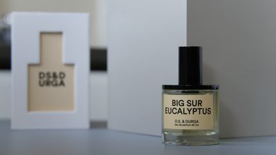 I tried DS & Durga's Big Sur Eucalyptus – a new take on fresh men's fragrance with unquestionable cool