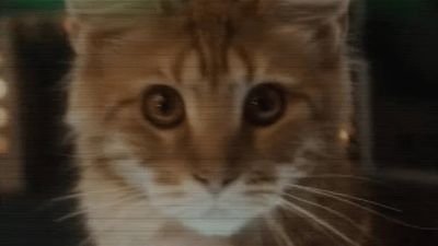 New Alien: Earth teaser introduces us to new cast members and the cutest little cat – and if a Xenomorph eats it, I will be furious