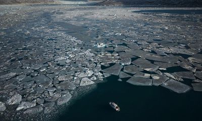 Friday briefing: What a record drop in sea ice means for our planet