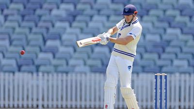 Patient Patterson puts NSW on top against WA