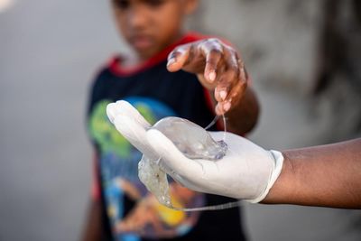 A growing appetite for jellyfish promised a boom for fishers in Honduras. But then the storms came