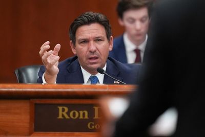 Radical DeSantis plan for Doge-style cuts in Florida opposed by own party