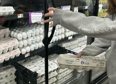 Trump Admin Struggling To Import Eggs As It Seeks To Bring Their Price Down