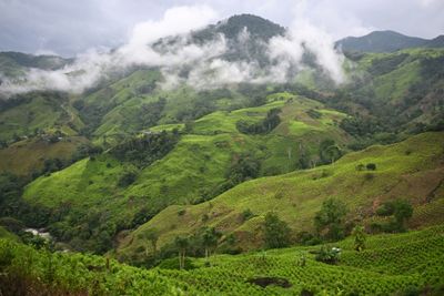 Colombian FARC Dissidents Take 29 Soldiers, Police Captive