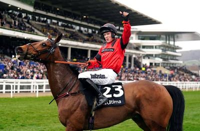 Cheltenham Festival 2025: The four best bets of the meeting