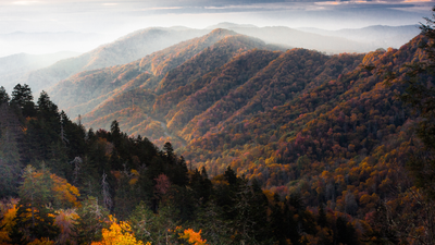 America's national parks welcomed a record-breaking number of visitors last year as trail runners, hikers, and campers flocked to the wilderness