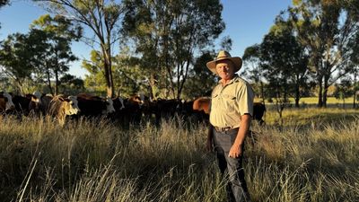 'Wake up': farmers face more pressure on deforestation