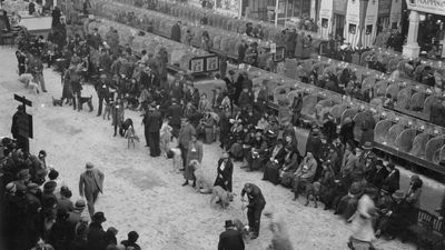 History of Crufts: The world’s greatest dog show