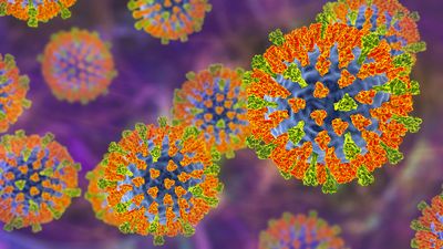 2nd measles death reported in US outbreak was in New Mexico adult