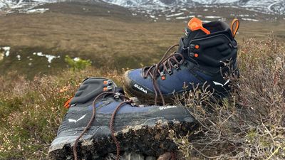 Salewa Ortles Edge Mid Gore-Tex boots review: comfort and capability