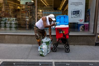 Spring weather forecast: Above-average temperatures expected globally as La Niña fades