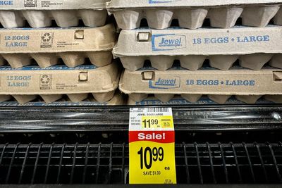 Justice Department is now investigating soaring egg prices