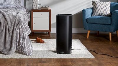 What size air purifier do you need? We ask the experts