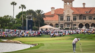 Who Owns TPC Sawgrass?