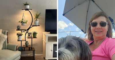 25 Amazon Must-Haves That Everyone And Their Mother Is Wishlisting