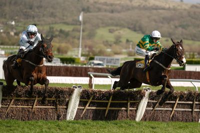 Best 2025 Cheltenham Festival Free Bets & Betting Offers