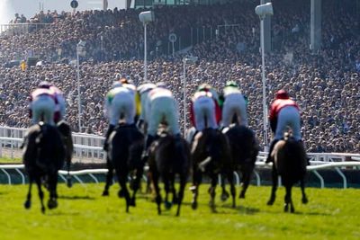 Cheltenham Festival 2025 day one schedule and betting tips as Constitution Hill returns today