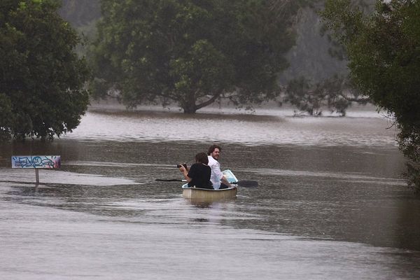 Sharks spotted in flooded canals as Australia grapples with Cyclone Alfred aftermath