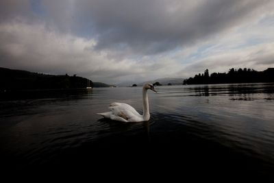 UK government vows to clean up Lake Windemere after beauty spot clogged with sewage