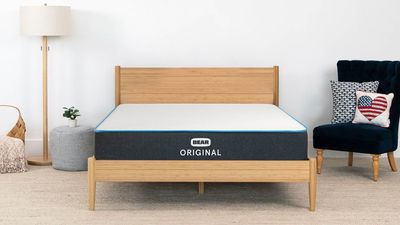 Bear Original mattress review