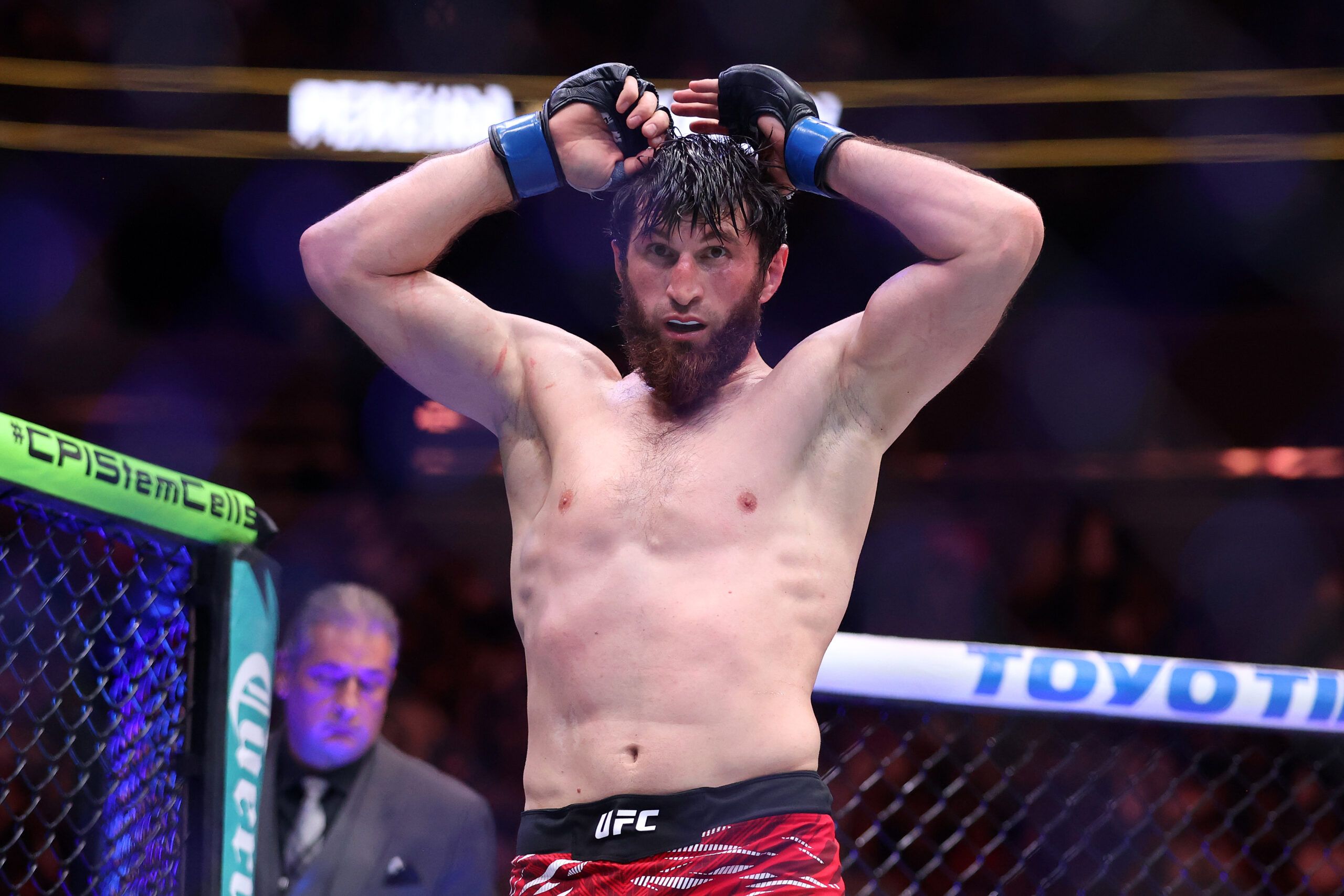 Magomed Ankalaev quietly flexes on UFC fighters who…