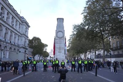 Cenotaph protest offence comes ‘at expense’ of other proposed crimes, MP warns