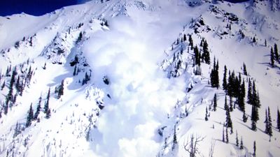 Martin Scorsese sets sights on new drama recounting infamous Alpine Meadows avalanche that killed 7 at Tahoe ski resort