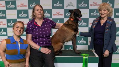 Crufts announces retired police dog as the UK’s top hero