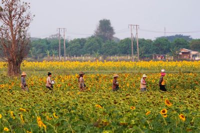 Activist groups urge UN probe of its Myanmar envoy after report alleges ties to Chinese companies