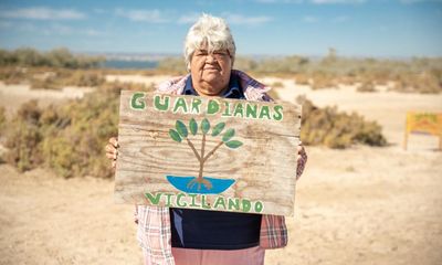 The Mexican women who defied drug-dealers, fly-tippers and chauvinists to build a thriving business
