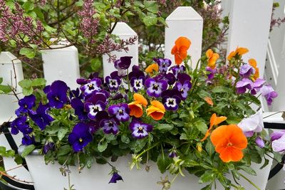 Spring's official start is nearly here and there's work to do in the garden. A checklist