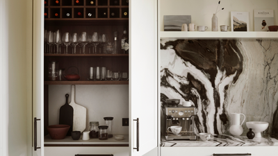 Every Kitchen Designer I Asked Said This Storage Feature Is the One Thing That Will Defeat Your Space's Clutter