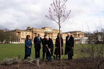 King plants tree near Palace lake to celebrate Commonwealth forest network