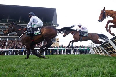 BHA provides Constitution Hill update after scary fall at Cheltenham Festival