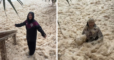 “Don’t Do That”: Woman’s Viral Stunt In Sewage-Filled Sea Foam Sparks Outrage