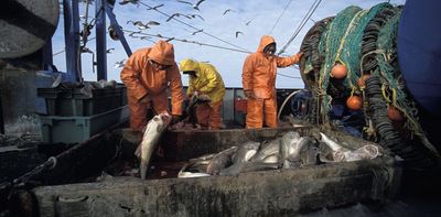 The ‘sustainable’ cod in your shopping basket may be no such thing – new study reveals mislabelling