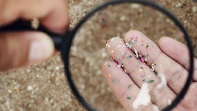 Are microplastics turning bacteria into antibiotic-resistant superbugs? Here's what to know