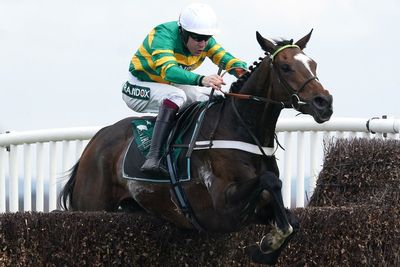 2025 Queen Mother Champion Chase Odds & Betting Guide