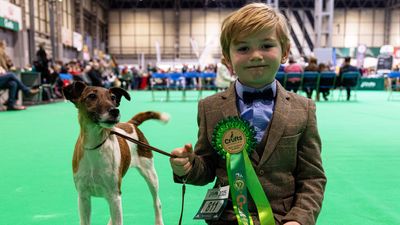 ‘Best dog ever’ helps six-year-old Freddie become one of Crufts’ youngest-ever winners