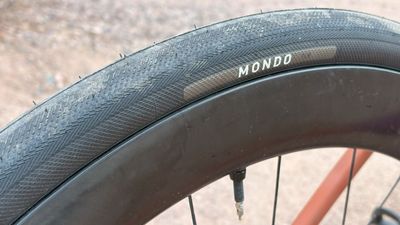 'This isn't your father's endurance tyre' - the updated Specialized Mondo is made for Strade Bianche, Paris-Roubaix and anywhere else the road gets choppy