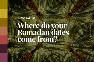 Ramadan 2025: Which countries grow the most dates?