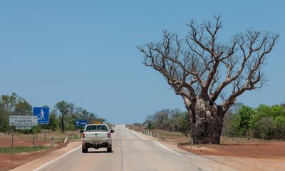 To win the bush, Australian politics needs to embrace its ‘curves’