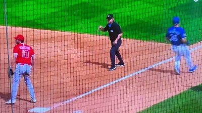 MLB Ump Had the Funniest Call of Spring Training After Debating With Himself