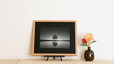 As an art lover, I'd rather buy this new e-paper digital art frame than an art TV