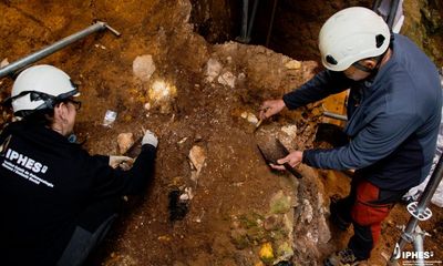 Bone fragments of oldest known human face in western Europe found in Spain