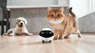 Enabot EBO Air 2 home robot boasts upgraded camera and smarter smarts
