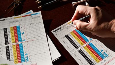 What Is Considered A Low, Mid And High Handicap... And Where Do You Fit?